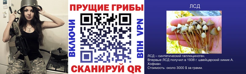 Галлюциногенные грибы ЛСД  гидра ТОР  Иноземцево 